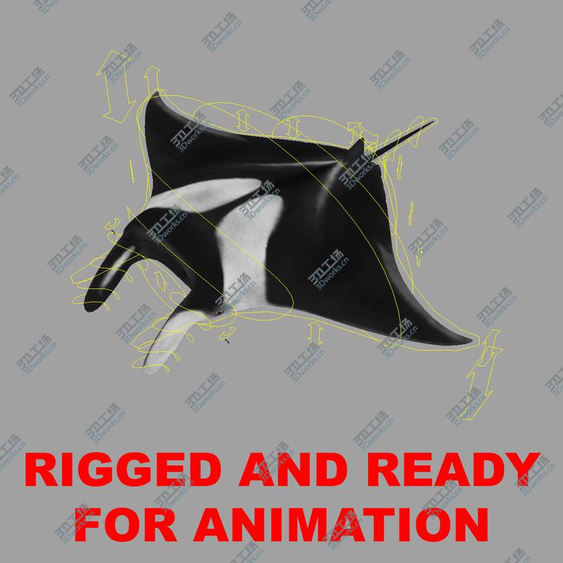 images/goods_img/202104092/Aquatic Animals Collection/4.jpg